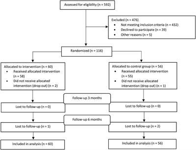 Effectiveness of Combining Compensatory Cognitive Training and Vocational Intervention vs. Treatment as Usual on Return to Work Following Mild-to-Moderate Traumatic Brain Injury: Interim Analysis at 3 and 6 Month Follow-Up